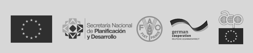 Projects: European Union, ACP-EU EuropAid, UN Food and Agriculture Organisation (FAO), Deutsche Gesellschaft für Internationale Zusammenarbeit (GIZ), Secretaría Nacional de Planificación y Desarrollo (SENPLADES) of Ecuador